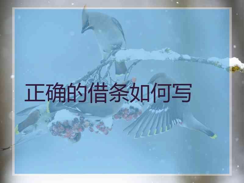 正确的借条如何写
