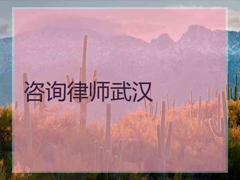 咨询律师武汉