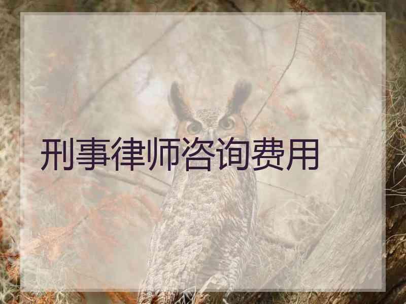 刑事律师咨询费用