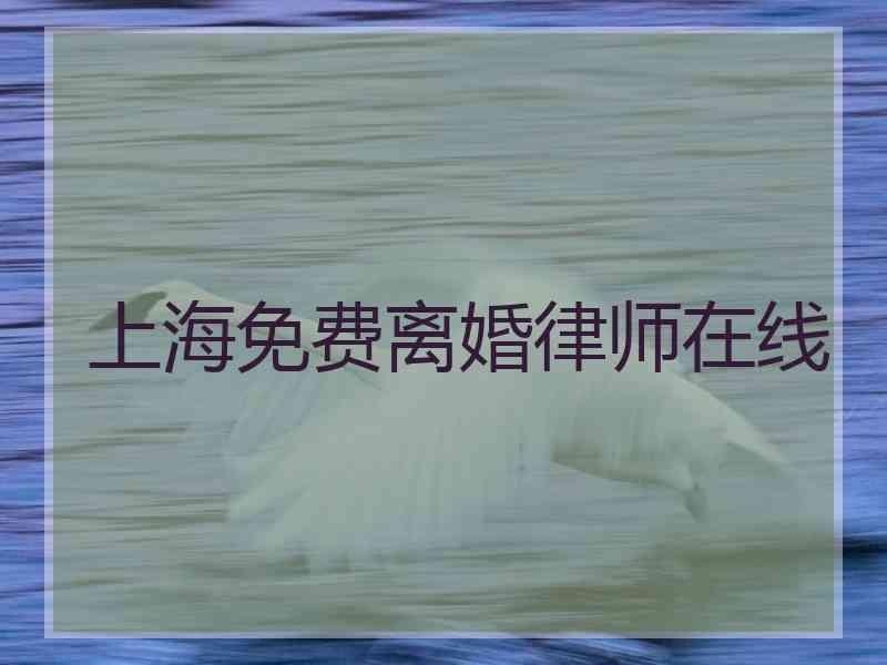 上海免费离婚律师在线