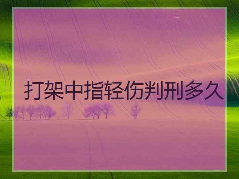 打架中指轻伤判刑多久