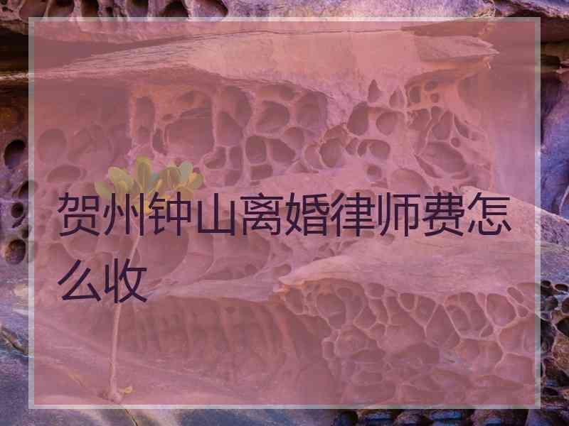 贺州钟山离婚律师费怎么收