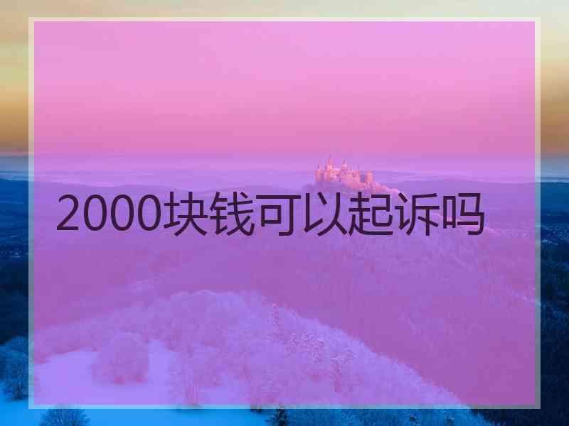 2000块钱可以起诉吗