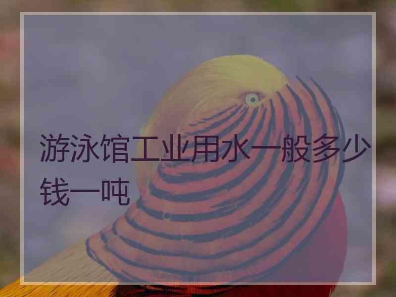 游泳馆工业用水一般多少钱一吨