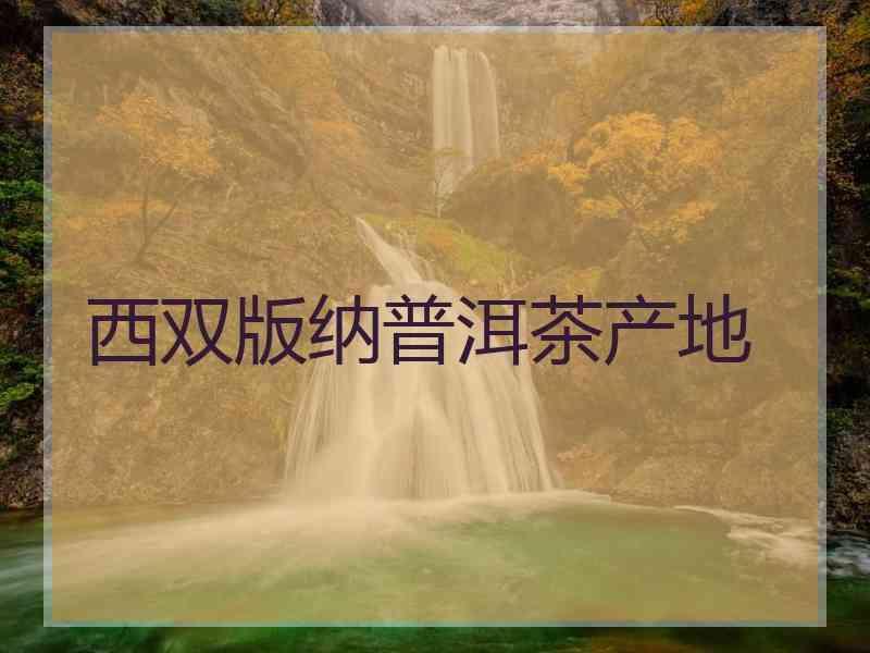 西双版纳普洱茶产地
