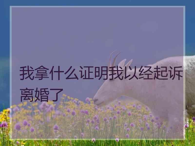 我拿什么证明我以经起诉离婚了