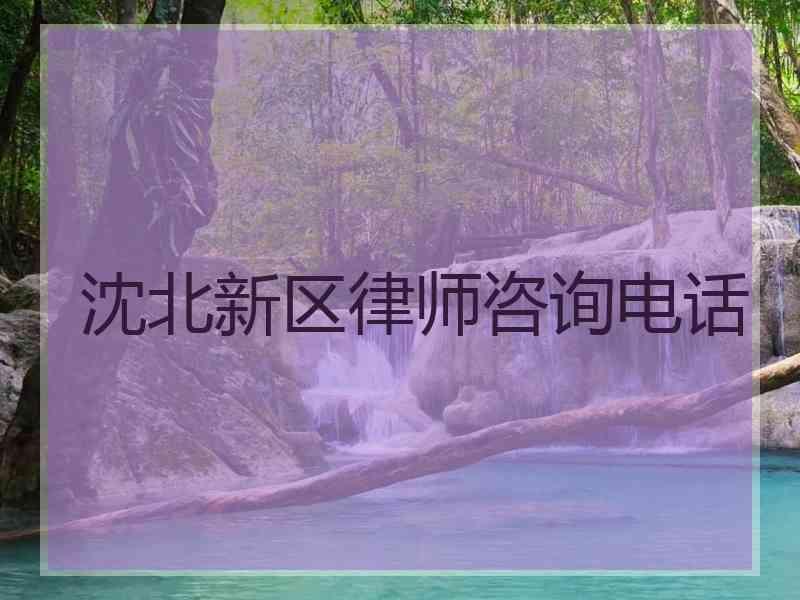 沈北新区律师咨询电话