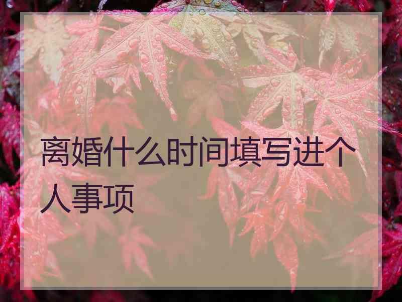 离婚什么时间填写进个人事项