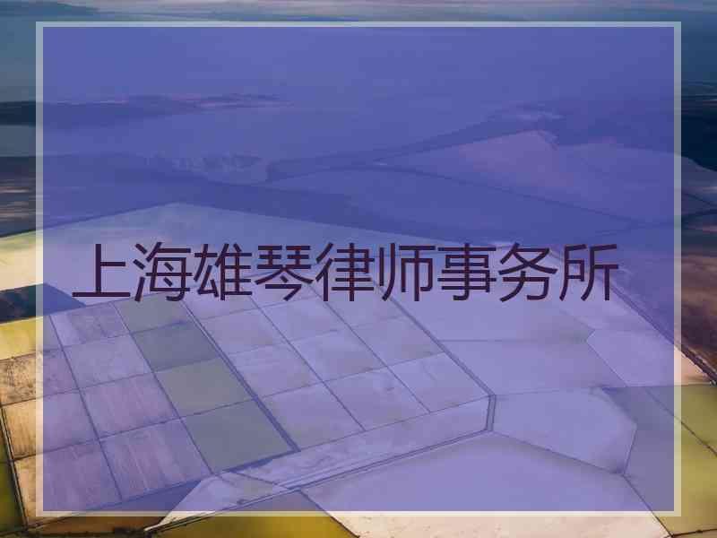 上海雄琴律师事务所