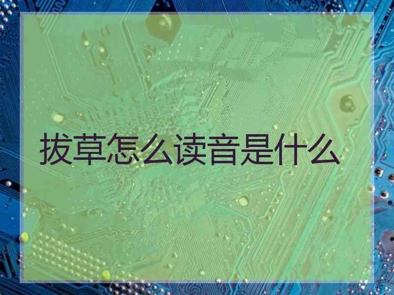 拔草怎么读音是什么