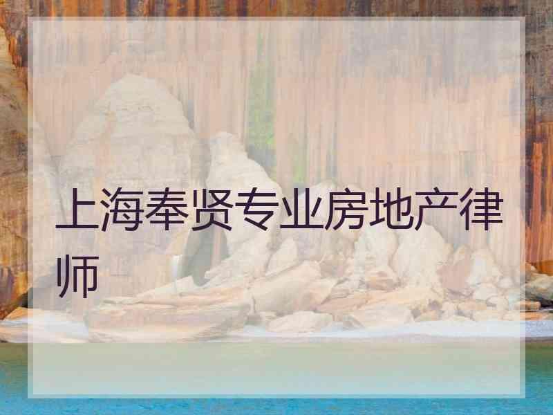 上海奉贤专业房地产律师