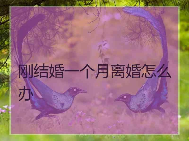 刚结婚一个月离婚怎么办