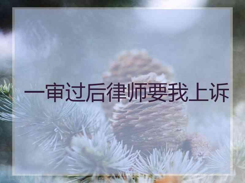 一审过后律师要我上诉