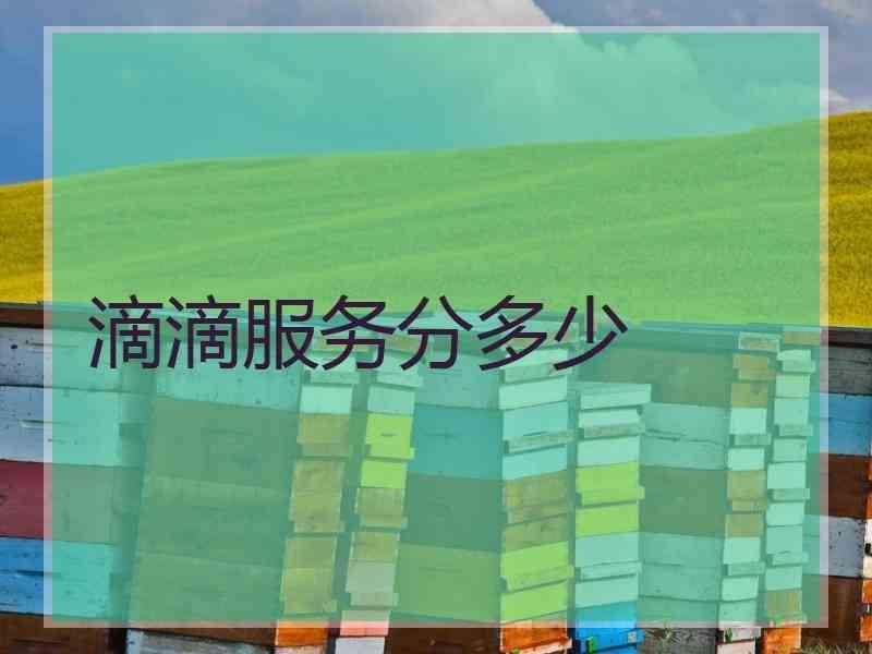 滴滴服务分多少