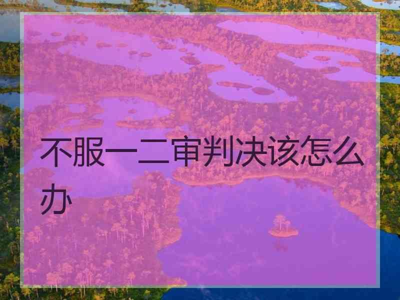 不服一二审判决该怎么办