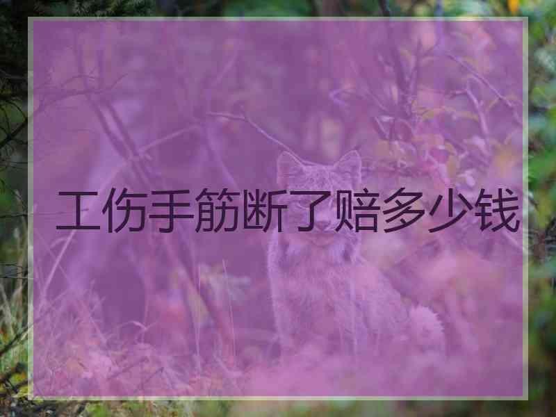 工伤手筋断了赔多少钱