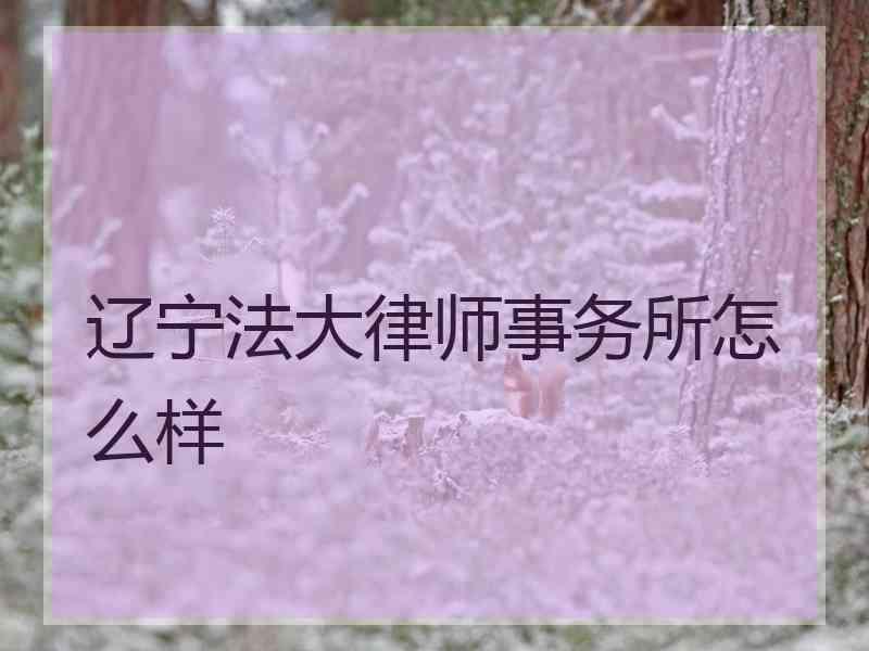 辽宁法大律师事务所怎么样