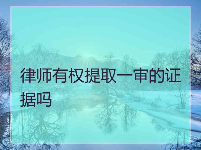 律师有权提取一审的证据吗