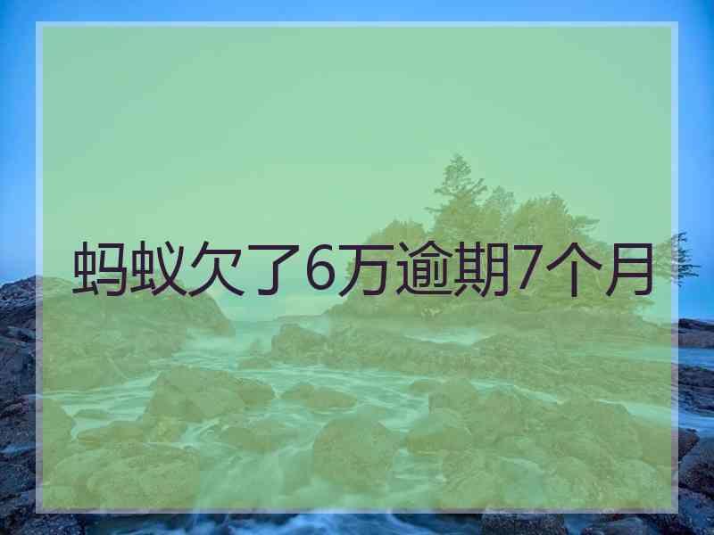 蚂蚁欠了6万逾期7个月