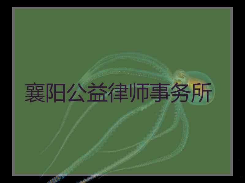 襄阳公益律师事务所