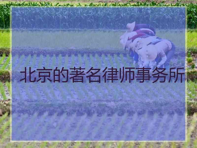 北京的著名律师事务所