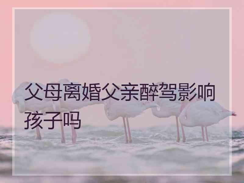 父母离婚父亲醉驾影响孩子吗