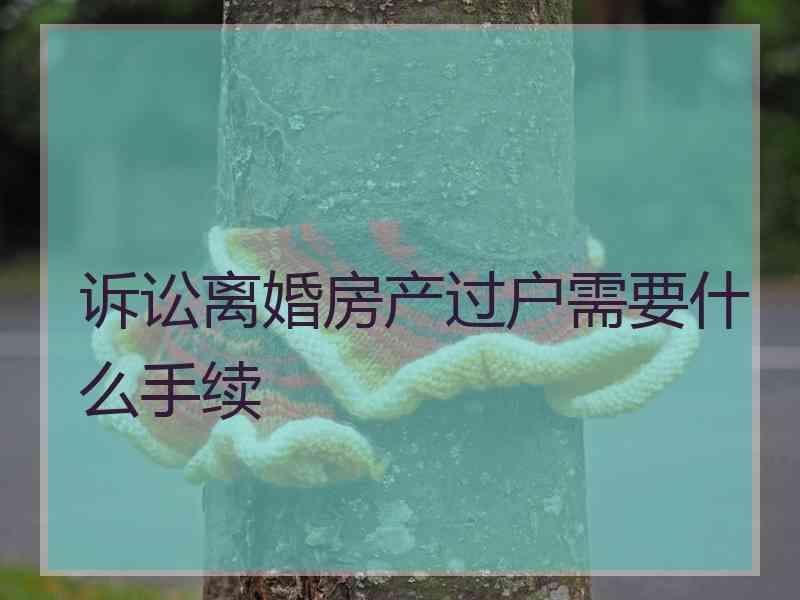 诉讼离婚房产过户需要什么手续