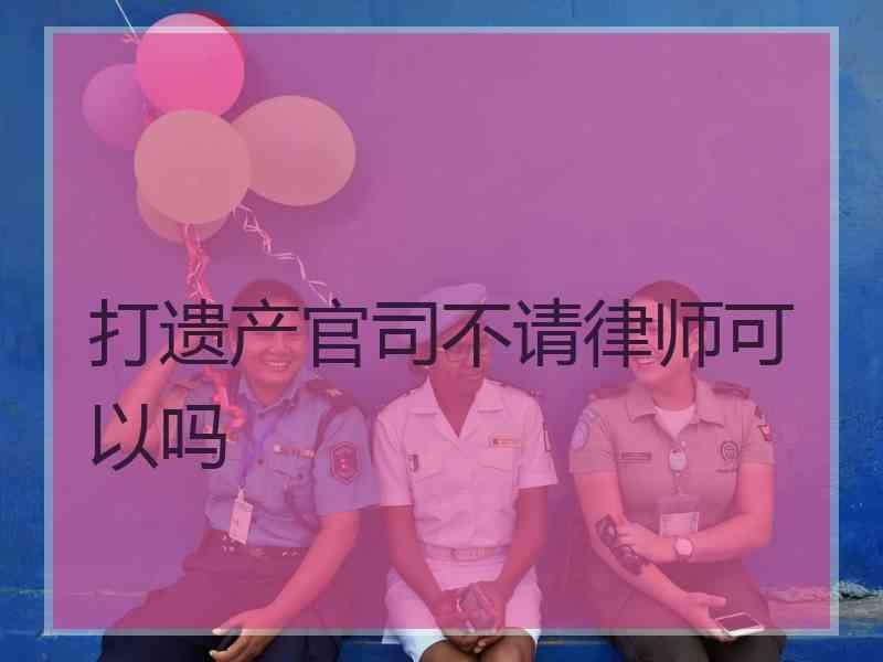 打遗产官司不请律师可以吗