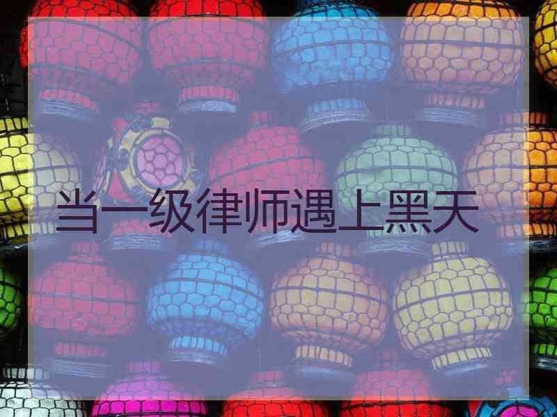 当一级律师遇上黑天