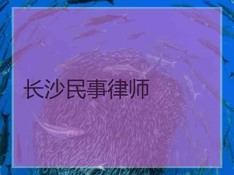 长沙民事律师