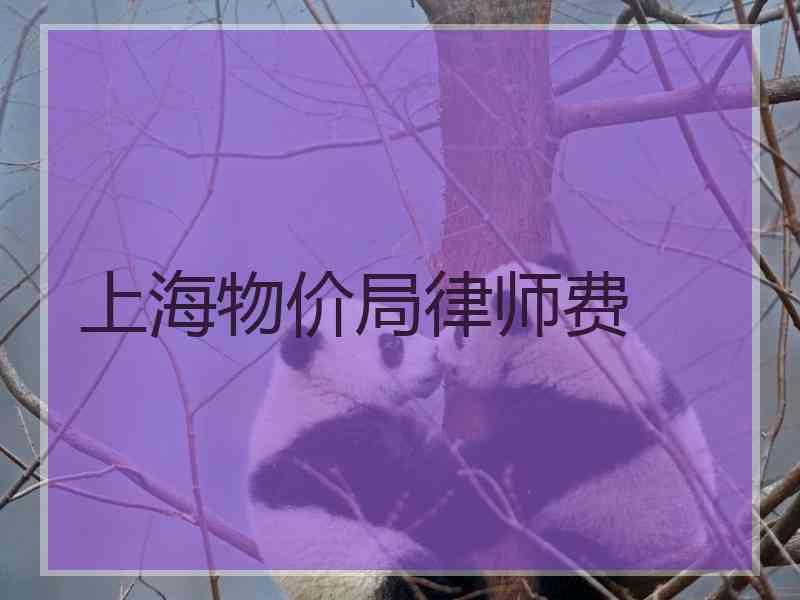 上海物价局律师费