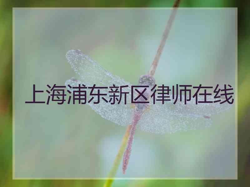 上海浦东新区律师在线