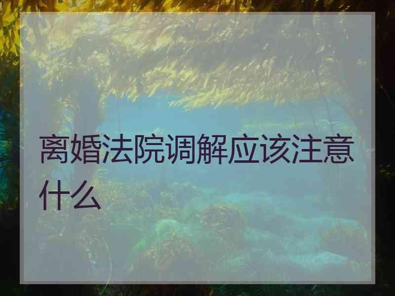 离婚法院调解应该注意什么