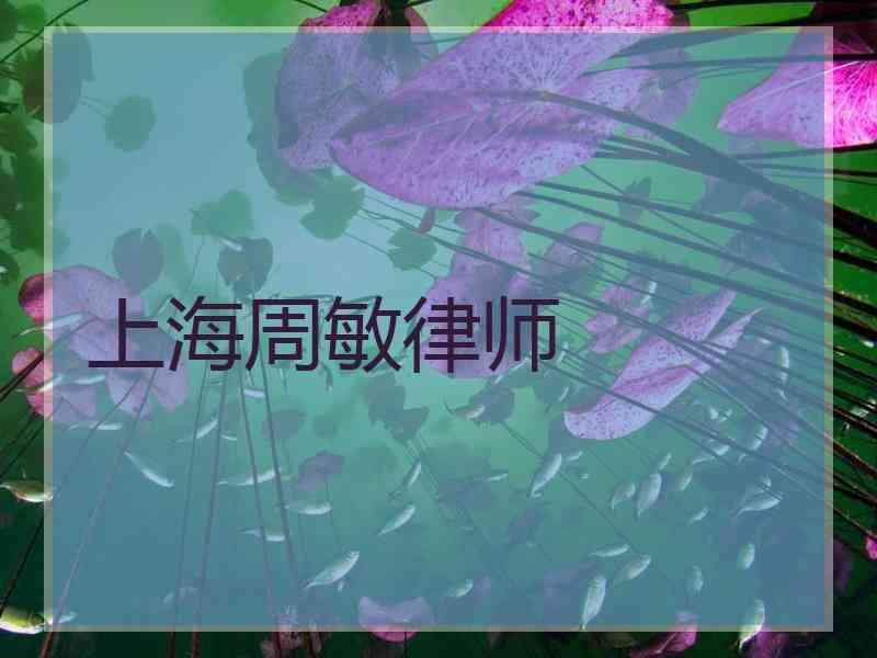 上海周敏律师