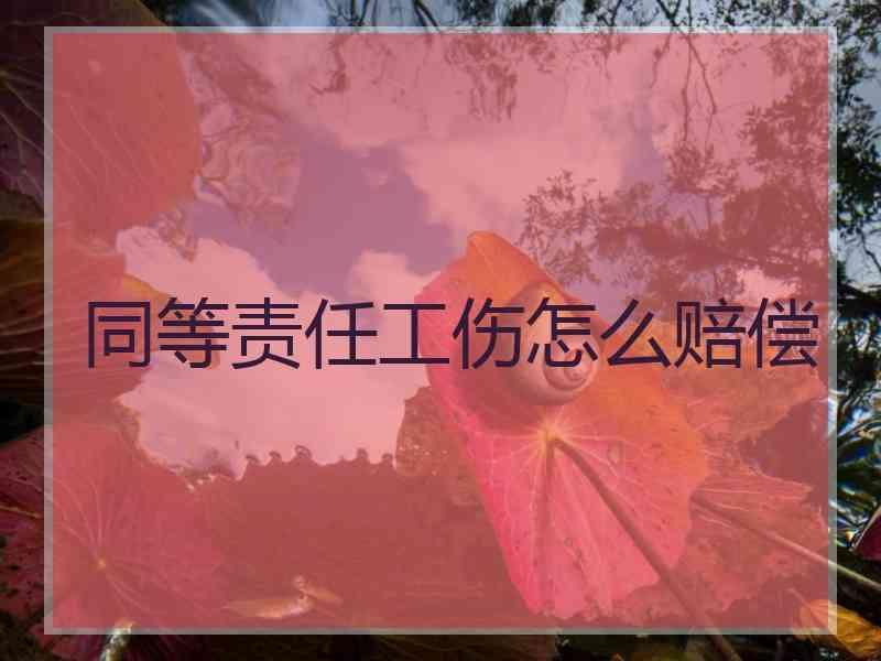 同等责任工伤怎么赔偿