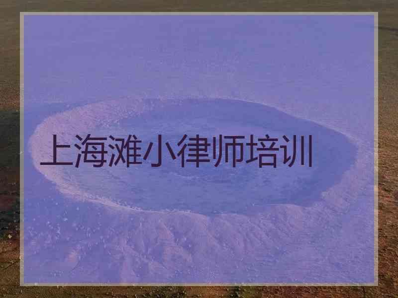 上海滩小律师培训