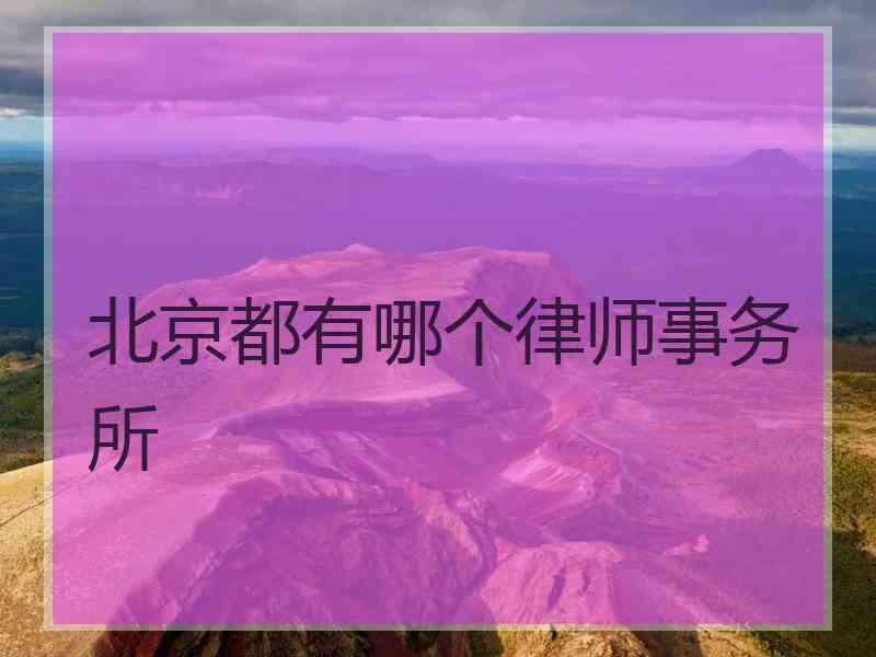 北京都有哪个律师事务所