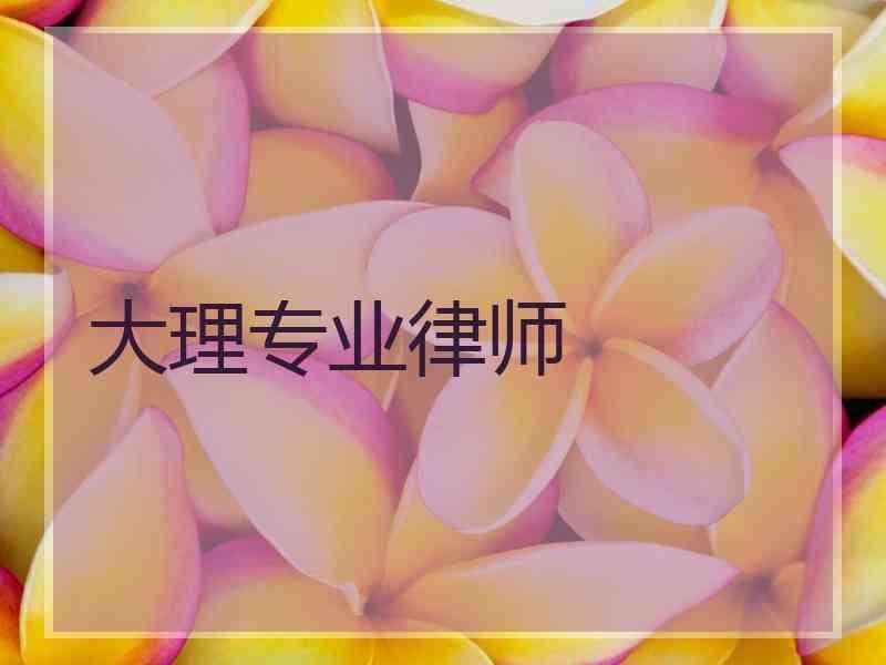 大理专业律师