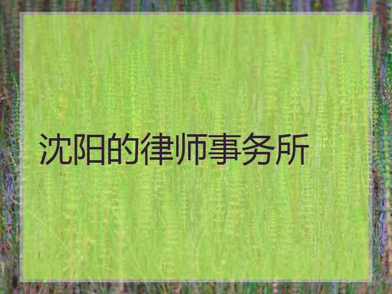 沈阳的律师事务所