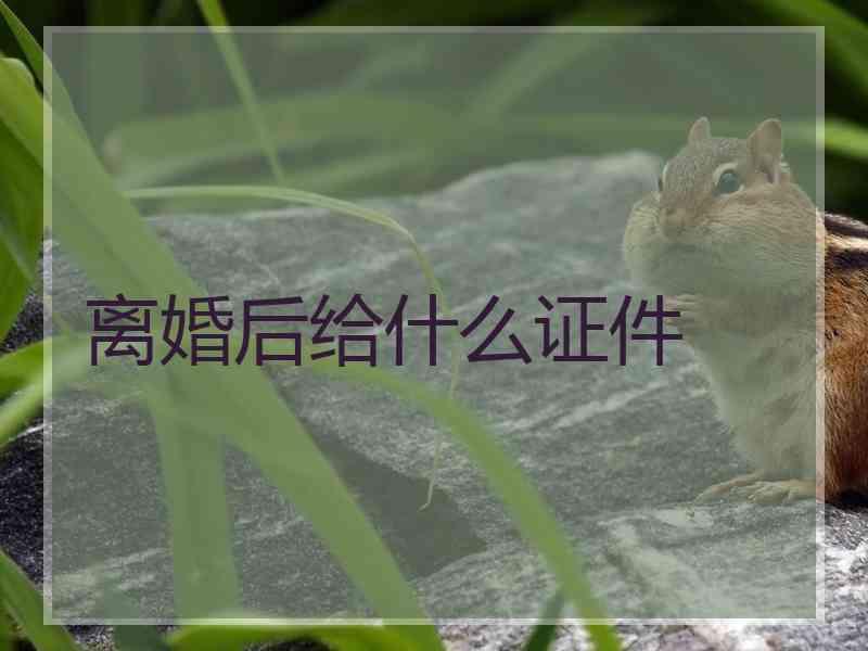 离婚后给什么证件