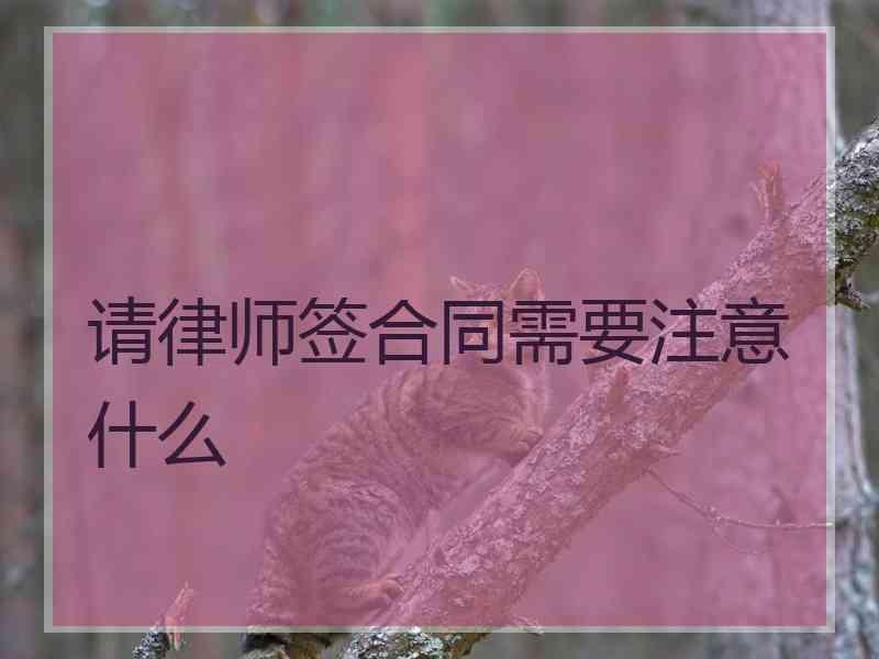 请律师签合同需要注意什么