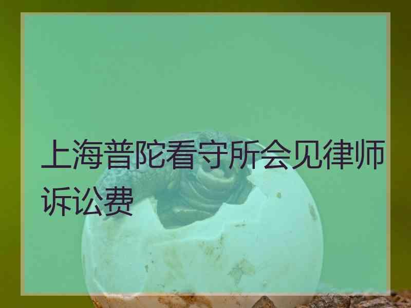 上海普陀看守所会见律师诉讼费