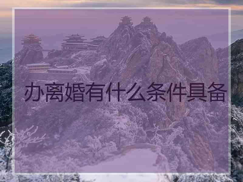 办离婚有什么条件具备