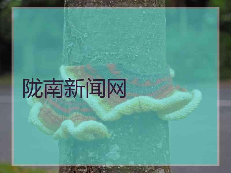 陇南新闻网