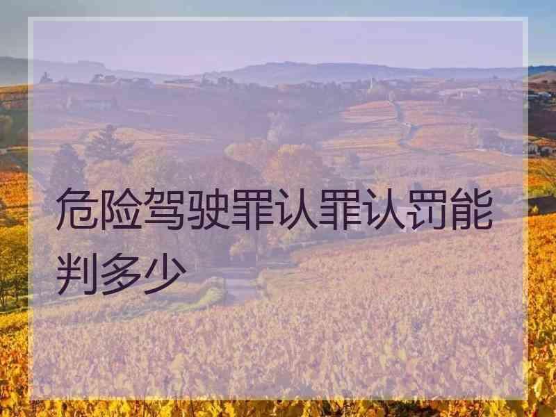 危险驾驶罪认罪认罚能判多少