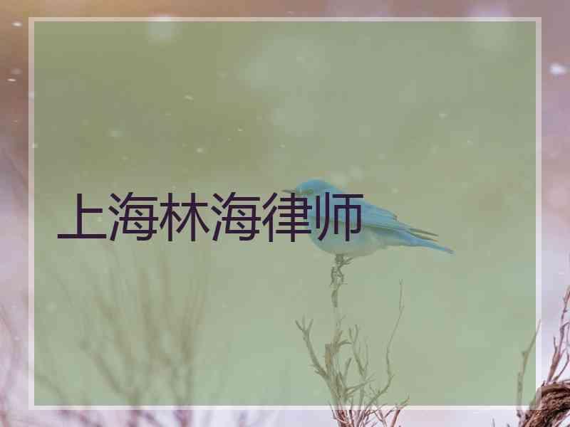 上海林海律师