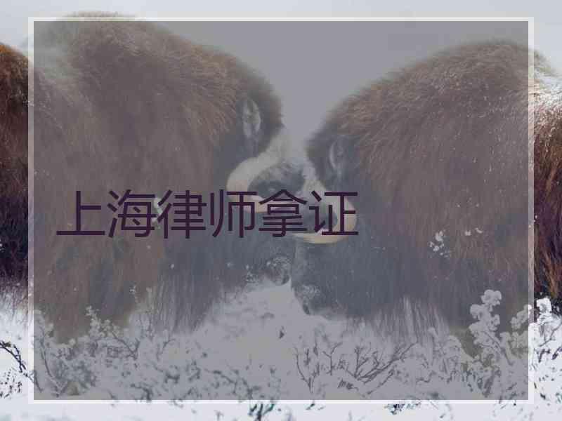 上海律师拿证