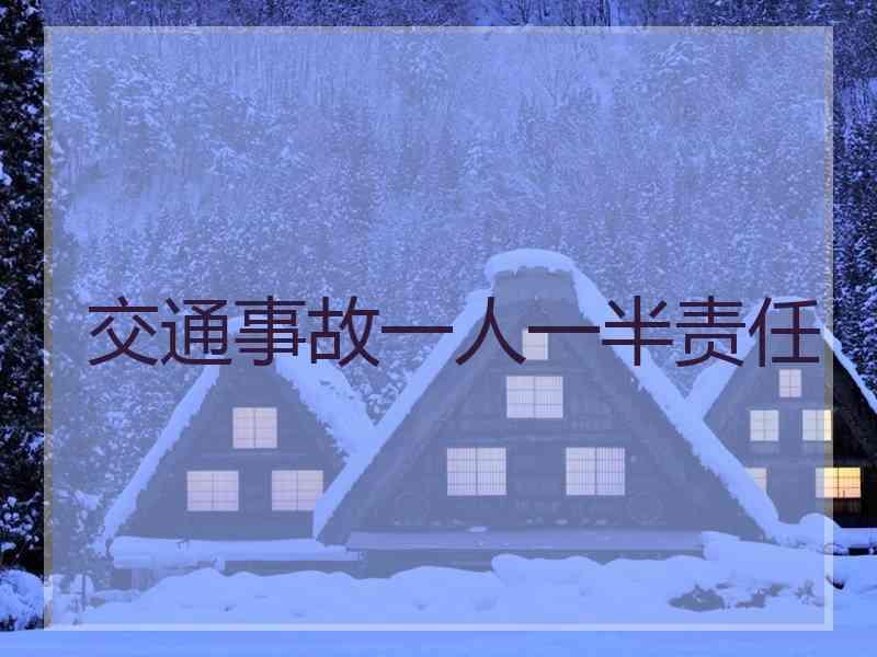 交通事故一人一半责任