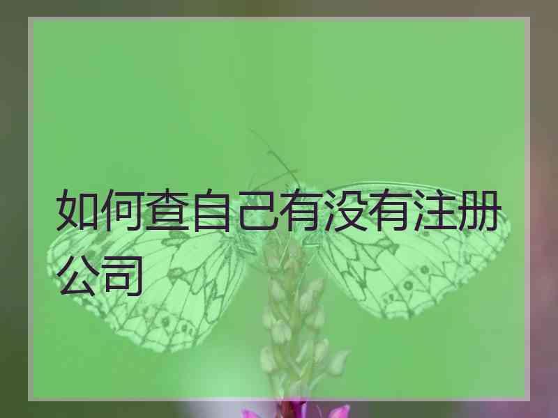 如何查自己有没有注册公司