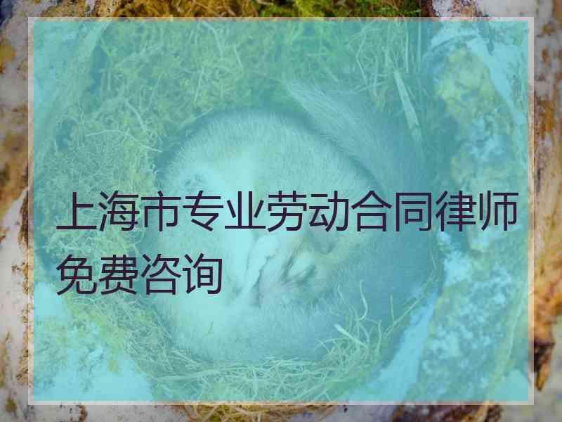 上海市专业劳动合同律师免费咨询